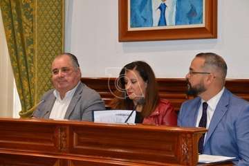 Pleno ordinario de febrero de 2020 (Foto TA)